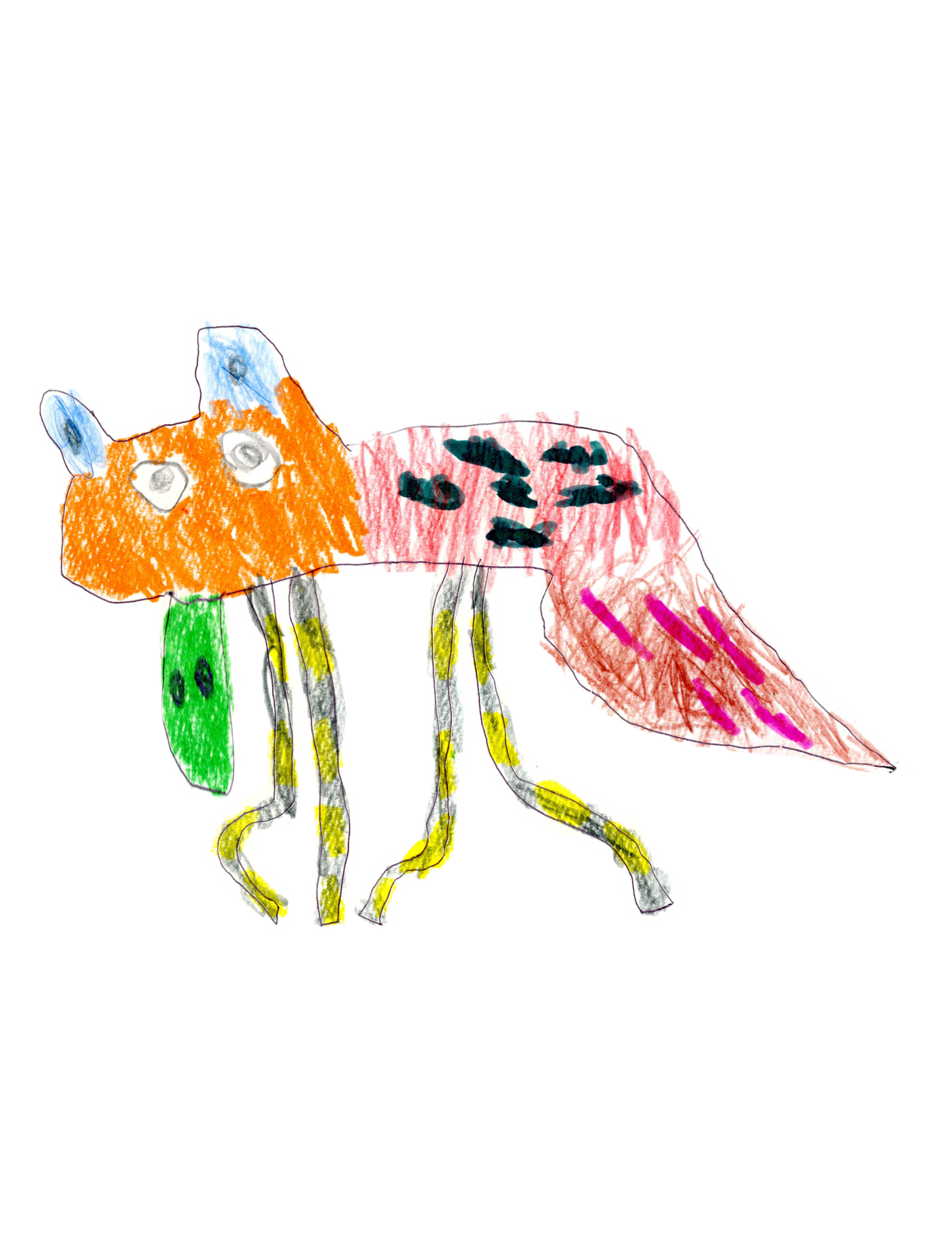 グアテマラ エルインヘルト タンザニア カトゥアイ 中煎り