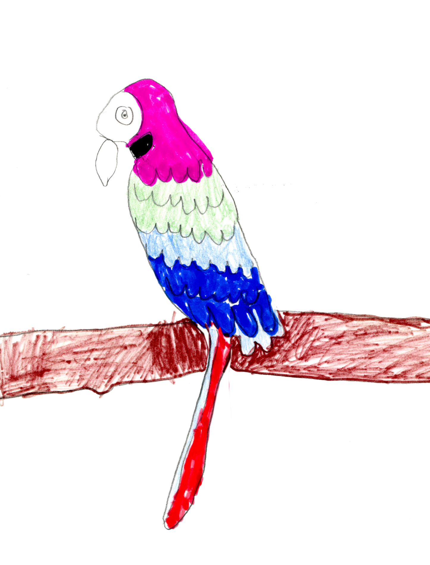 ホンジュラス ラス・ウバス IH90 ウォッシュド 中煎り