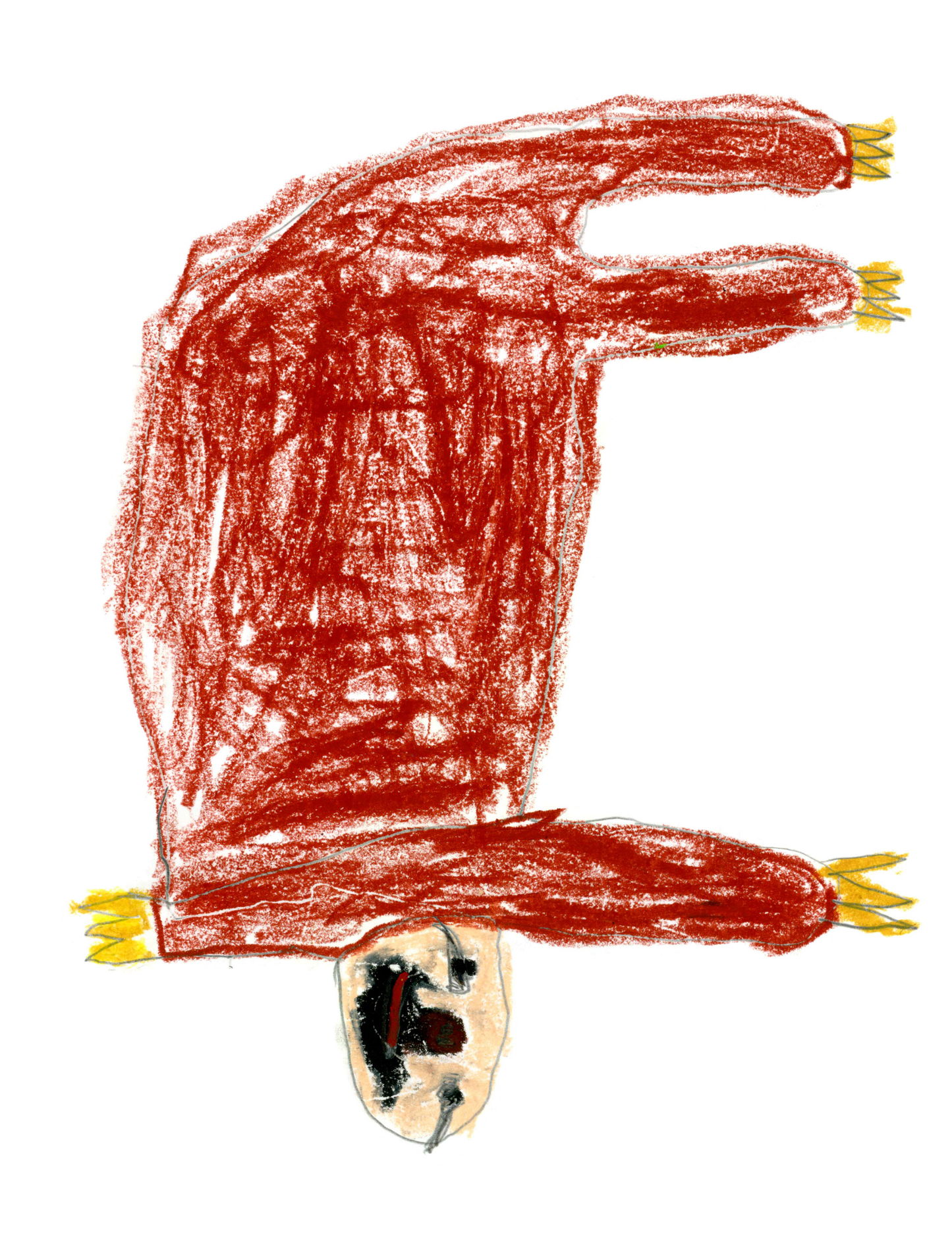 コスタリカ　ドン・オスカル　エル・コヨーテ　シドラ　イエローハニー　中煎り